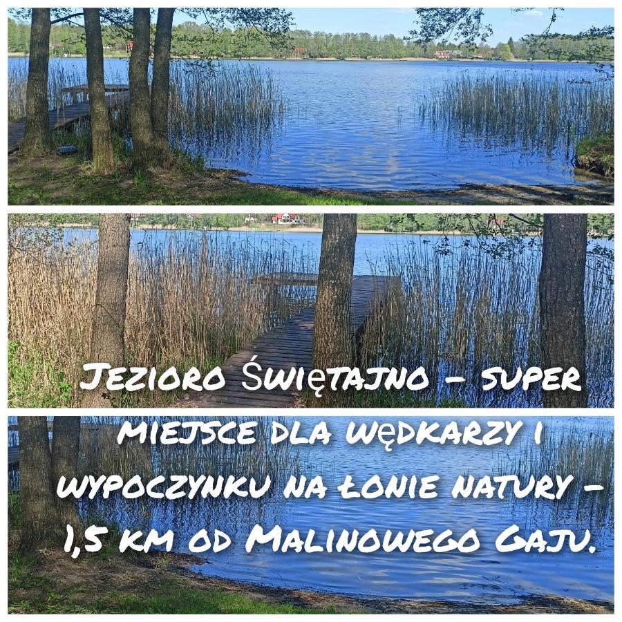 Malinowy Gaj - Agroturystyka Z Alpakami I Innymi Zwierzetami Swietajno  Exterior photo